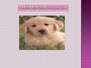 Well-behavend