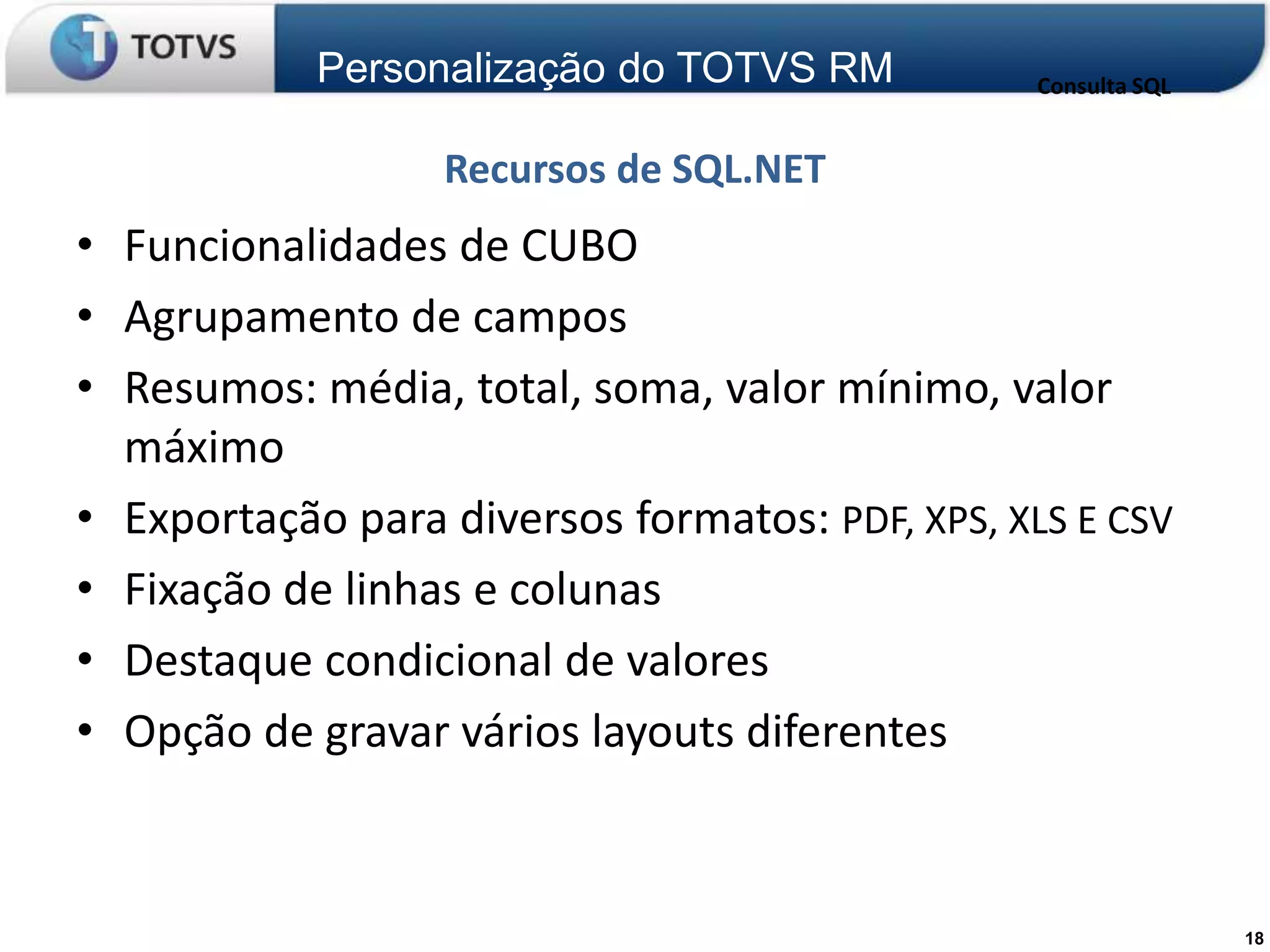 Personalização do TOTVS RM           Consulta SQL


                  Recursos de SQL.NET
• Funcionalidades de CUBO
• Agrupamento de campos
• Resumos: média, total, soma, valor mínimo, valor
  máximo
• Exportação para diversos formatos: PDF, XPS, XLS E CSV
• Fixação de linhas e colunas
• Destaque condicional de valores
• Opção de gravar vários layouts diferentes



                                                                18
 