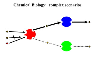 Chemical Biology: complex scenarios
 