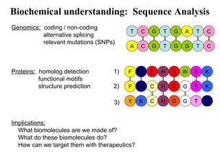 Biochemical understanding: Sequence Analysis
Genomics: coding / non-coding
alternative splicing
relevant mutations (SNPs)
Proteins: homolog detection
functional motifs
structure prediction
Implications:
What biomolecules are we made of?
What do these biomolecules do?
How can we target them with therapeutics?
T C
R HF C GE
A C
G TA CG T
G TG CG T
KS
K HY C GD RT
R HF E WE KS1)
2)
3)
 