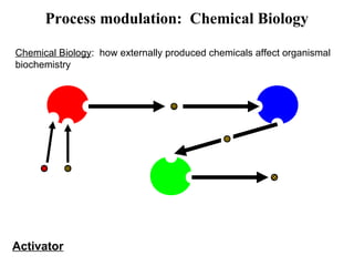 Chemical Biology: how externally produced chemicals affect organismal
biochemistry
Activator
Process modulation: Chemical Biology
 