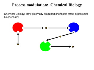 Process modulation: Chemical Biology
Chemical Biology: how externally produced chemicals affect organismal
biochemistry
 