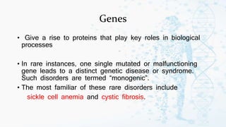 Genes
• Give a rise to proteins that play key roles in biological
processes
• In rare instances, one single mutated or malfunctioning
gene leads to a distinct genetic disease or syndrome.
Such disorders are termed “monogenic”.
• The most familiar of these rare disorders include
sickle cell anemia and cystic fibrosis.
 