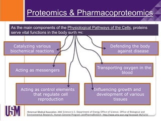 As the main components of the Physiological Pathways of the Cells, proteins
serve vital functions in the body such as:
•American Medical Association. AMA Science U.S. Department of Energy Office of Science, Office of Biological and
Environmental Research, Human Genome Program JainPharmaBiotech - http://www.ama-assn.org/ Accessed: 05/11/11
Proteomics & Pharmacoproteomics
Acting as messengers
Catalyzing various
biochemical reactions
Acting as control elements
that regulate cell
reproduction
Influencing growth and
development of various
tissues
Transporting oxygen in the
blood
Defending the body
against disease
 
