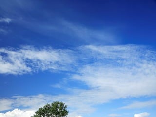 Do you remember when . . . 