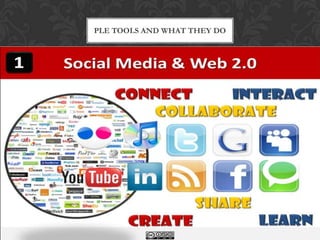 PLE TOOLS AND WHAT THEY DO
 