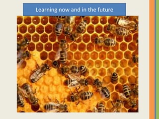 Learning now and in the future
 