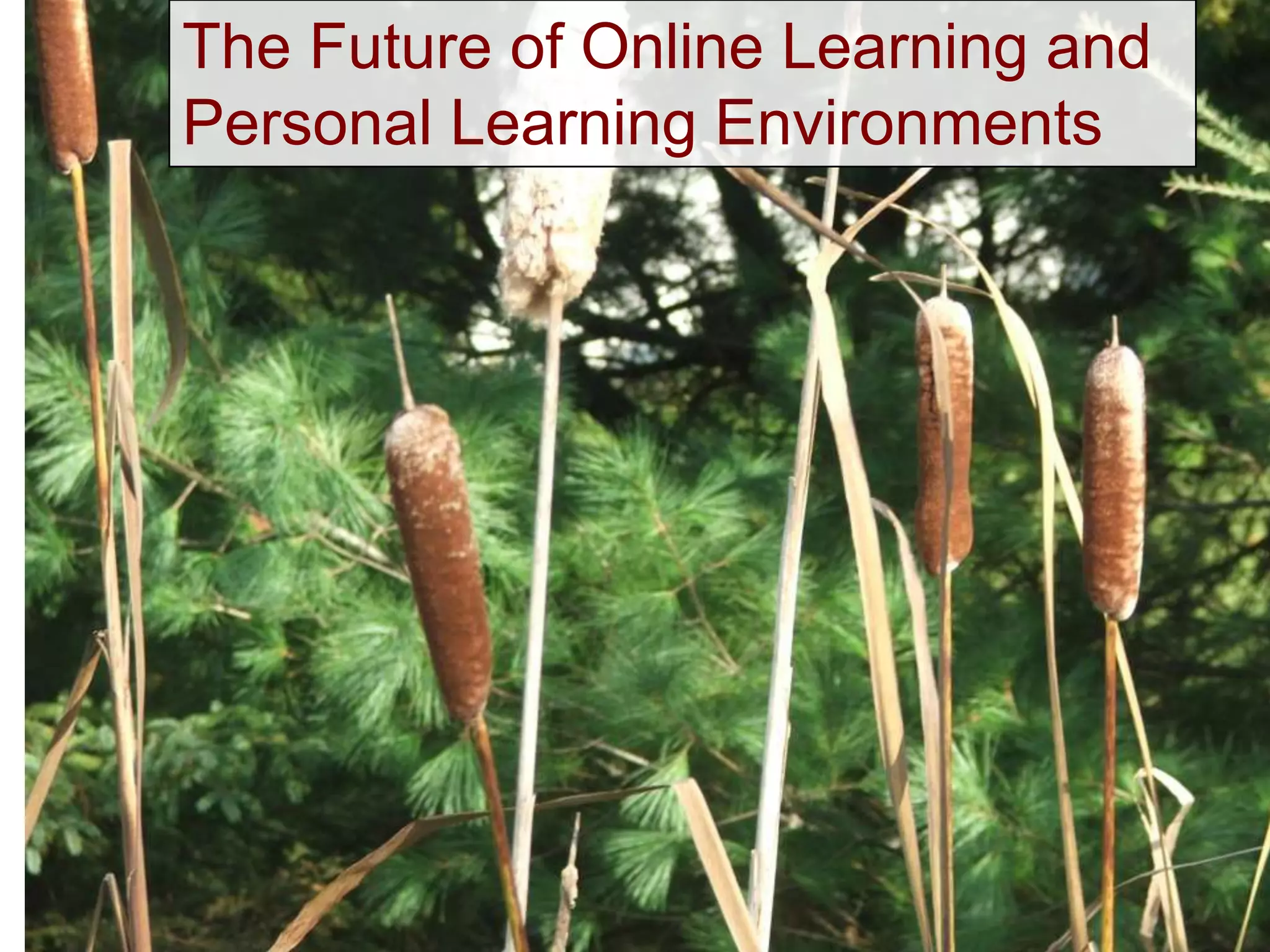The Future of Online Learning and
Personal Learning Environments
 