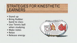 STRATEGIES FOR KINESTHETIC 
LEARNERS 
 Stand up 
 Bring Rubber 
band to class 
 Use Tennis ball 
when studying 
 Make notes 
 Relax 
 Release energy 
 