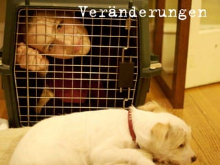 Personalmarketing 2.0