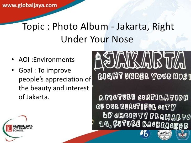 Ib personal project ideas picture