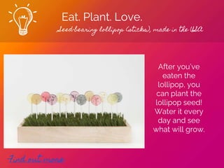Eat. Plant. Love.
Seed-bearing lollipop (sticks), made in the USA
Find out more
After you’ve
eaten the
lollipop, you
can plant the
lollipop seed!
Water it every
day and see
what will grow.
 