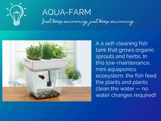 AQUA-FARM
Just keep swimming, just keep swimming
Find out more
A a self-cleaning fish
tank that grows organic
sprouts and herbs. In
this low-maintenance,
mini aquaponics
ecosystem, the fish feed
the plants and plants
clean the water — no
water changes required!
 