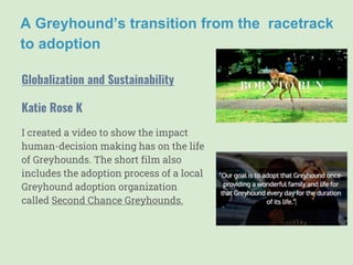 A Greyhound’s transition from the racetrack
to adoption
I created a video to show the impact
human-decision making has on the life
of Greyhounds. The short film also
includes the adoption process of a local
Greyhound adoption organization
called Second Chance Greyhounds.
Katie Rose K
Globalization and Sustainability
 