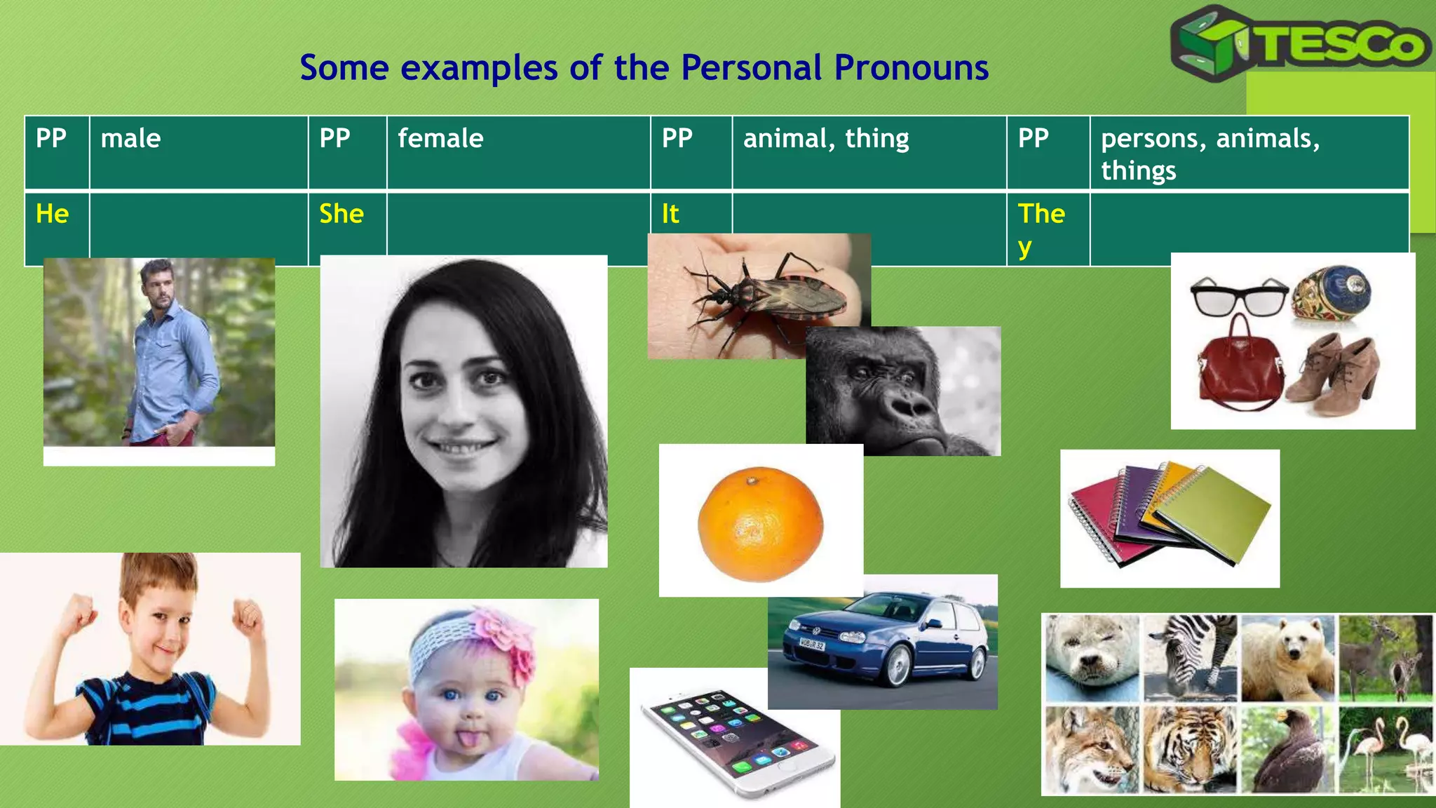 Personal Pronouns Pptx Pptx