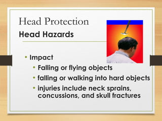 Head Protection
Head Hazards
• Impact
• Falling or flying objects
• falling or walking into hard objects
• injuries include neck sprains,
concussions, and skull fractures
 