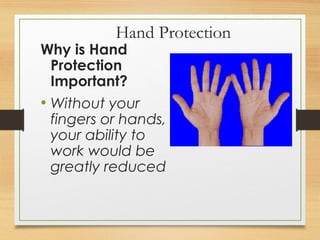 Hand Protection
Why is Hand
Protection
Important?
• Without your
fingers or hands,
your ability to
work would be
greatly reduced
 