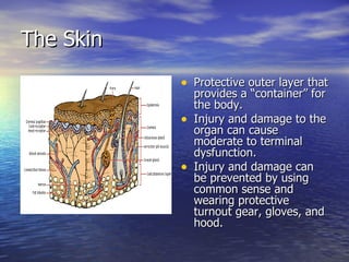 The Skin
           • Protective outer layer that
               provides a “container” for
               the body.
           •   Injury and damage to the
               organ can cause
               moderate to terminal
               dysfunction.
           •   Injury and damage can
               be prevented by using
               common sense and
               wearing protective
               turnout gear, gloves, and
               hood.
 