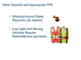 Other Hazards and Appropriate PPE
• Working Around Water
Requires Life Jackets
• Low Light and Moving
Vehicles Require
Retroreflective garments
 