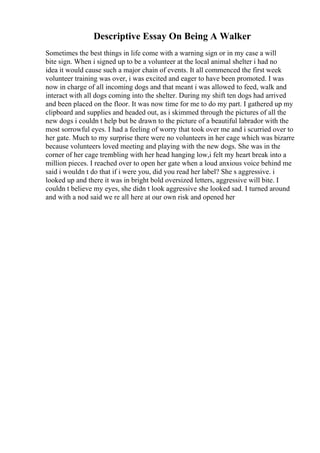 Descriptive Essay On Being A Walker
Sometimes the best things in life come with a warning sign or in my case a will
bite sign. When i signed up to be a volunteer at the local animal shelter i had no
idea it would cause such a major chain of events. It all commenced the first week
volunteer training was over, i was excited and eager to have been promoted. I was
now in charge of all incoming dogs and that meant i was allowed to feed, walk and
interact with all dogs coming into the shelter. During my shift ten dogs had arrived
and been placed on the floor. It was now time for me to do my part. I gathered up my
clipboard and supplies and headed out, as i skimmed through the pictures of all the
new dogs i couldn t help but be drawn to the picture of a beautiful labrador with the
most sorrowful eyes. I had a feeling of worry that took over me and i scurried over to
her gate. Much to my surprise there were no volunteers in her cage which was bizarre
because volunteers loved meeting and playing with the new dogs. She was in the
corner of her cage trembling with her head hanging low,i felt my heart break into a
million pieces. I reached over to open her gate when a loud anxious voice behind me
said i wouldn t do that if i were you, did you read her label? She s aggressive. i
looked up and there it was in bright bold oversized letters, aggressive will bite. I
couldn t believe my eyes, she didn t look aggressive she looked sad. I turned around
and with a nod said we re all here at our own risk and opened her
 