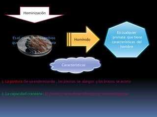 Es el conjunto de cambios
que sufre el homínido para
llegar a ser hombre
Hominización
Homínido
Es cualquier
´primate que tiene
características del
hombre
Características
1. La postura :Se va enderezando , las piernas se alargan y los brazos se acorta
2. La capacidad craneana : El cerebro se va desarrollando por mas inteligencia
 
