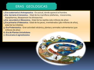 ERAS GEOLOGICAS
1.Era cuaternaria ó Antropozoica.- Era actual, donde apareció el hombre.
2.Era terciaria ó Cenozoica.- Edad de los mamíferos (elefantes, rinocerontes,
hipopótamos, desaparecen los dinosaurios)
3.Era secundaria ó Mesozoica.- Edad de los reptiles (160 millones de años)
4.Era primaria ó Paleozoica.- Edad de los peces, invertebrados (360 millones de años),
edad de los trilobites
5.-Era Proterozoica.- Gran actividad volcánica, plantas y animales rudimentarios (400
millones de años)
6.-Era de Plantas Unicelulares
7.-Era arcaica ó agnostozoica
 