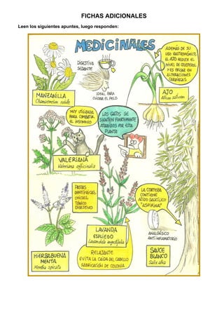 FICHAS ADICIONALES
Leen los siguientes apuntes, luego responden:
 