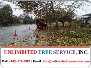 UNLIMBITED TREE SERVICE, INC.
Call: (443)-517-6881 | Email: info@unlimbitedtreeservice.com
 