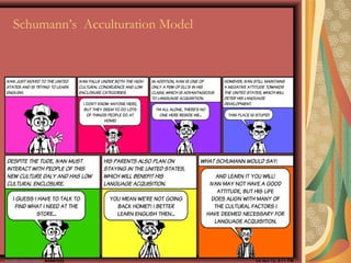 Schumann’s Acculturation Model
 