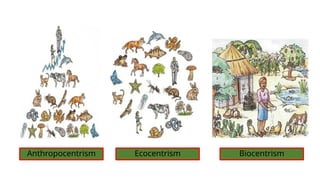Anthropocentrism Ecocentrism Biocentrism
 