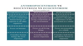 Person and Environment Relationship.pptx