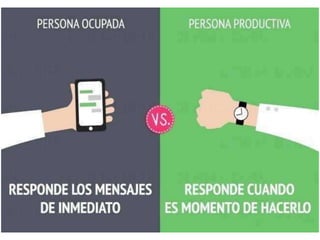 Persona ocupada vs productiva