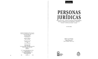 Personas jurídicas, lyon puelma