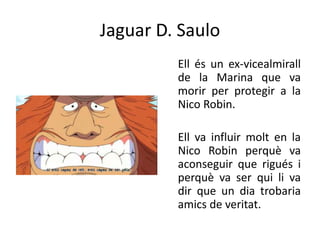 Jaguar D. Saulo
Ell és un ex-vicealmirall
de la Marina que va
morir per protegir a la
Nico Robin.
Ell va influir molt en la
Nico Robin perquè va
aconseguir que rigués i
perquè va ser qui li va
dir que un dia trobaria
amics de veritat.
 
