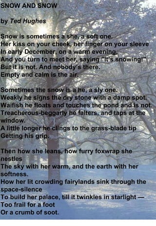 SNOW AND SNOW

by Ted Hughes

Snow is sometimes a she, a soft one.
Her kiss on your cheek, her finger on your sleeve
In early December, on a warm evening,
And you turn to meet her, saying "It’s snowing!"
But it is not. And nobody’s there.
Empty and calm is the air.

Sometimes the snow is a he, a sly one.
Weakly he signs the dry stone with a damp spot.
Waifish he floats and touches the pond and is not.
Treacherous-beggarly he falters, and taps at the
window.
A little longer he clings to the grass-blade tip
Getting his grip.

Then how she leans, how furry foxwrap she
nestles
The sky with her warm, and the earth with her
softness.
How her lit crowding fairylands sink through the
space-silence
To build her palace, till it twinkles in starlight —
Too frail for a foot
Or a crumb of soot.
 