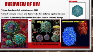OVERVIEW OF HIV
• Its an Rna based virus that causes AIDS
• Attack immune system and destroys body’s defence against disease
• Creates vulnerability and cancer that’s not seen in common beings.
HIV Capsule
HIV
Healthy T Cell & Infected T Cell
Two Key Parts of the Immune System
CD4 Cell
Antibodies
HIV
 