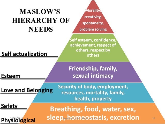 Essays food safety