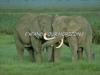 EXPAND YOUR HORIZONS 