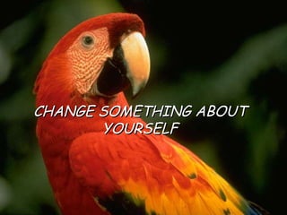 CHANGE SOMETHING ABOUT YOURSELF 