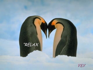 “ RELAX VEV 