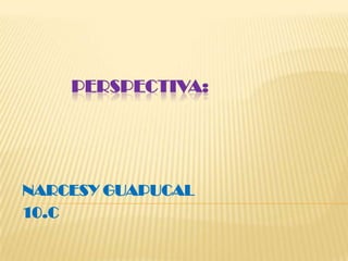 PERSPECTIVA: NARCESY GUAPUCAL 10.C 