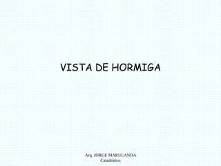 VISTA DE HORMIGA 
Arq. JORGE MARULANDA 
Catedràtico 
 