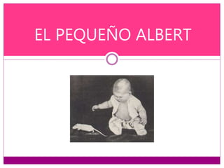 EL PEQUEÑO ALBERT
 