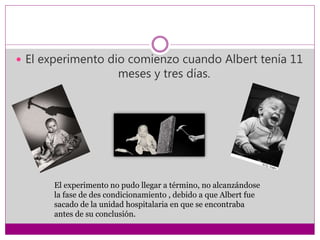  El experimento dio comienzo cuando Albert tenía 11
meses y tres días.
El experimento no pudo llegar a término, no alcanzándose
la fase de des condicionamiento , debido a que Albert fue
sacado de la unidad hospitalaria en que se encontraba
antes de su conclusión.
 