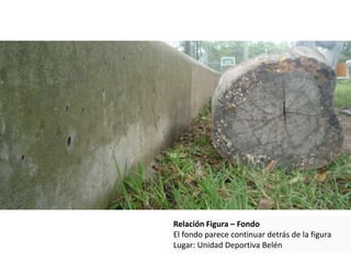 Relación Figura – Fondo
El fondo parece continuar detrás de la figura
Lugar: Unidad Deportiva Belén
 