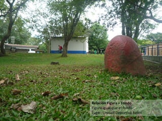 Relación Figura – Fondo
Figura igual que el fondo
Lugar: Unidad Deportiva Belén
 