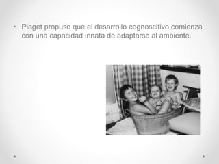 • Piaget propuso que el desarrollo cognoscitivo comienza
con una capacidad innata de adaptarse al ambiente.
 