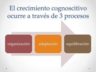 El crecimiento cognoscitivo
ocurre a través de 3 procesos
organización adaptación equilibración
 