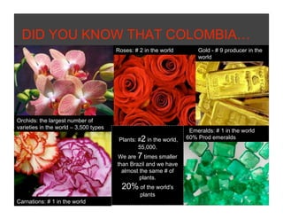 DID YOU KNOW THAT COLOMBIA…
                                       Roses: # 2 in the world         Gold - # 9 producer in the
                                                                       world




Orchids: the largest number of
varieties in the world – 3,500 types
                                                                    Emeralds: # 1 in the world
                                        Plants: #2 in the world,   60% Prod emeralds
                                                55,000.
                                       We are 7 times smaller
                                       than Brazil and we have
                                         almost the same # of
                                                plants.
                                         20% of the world's
                                                plants
Carnations: # 1 in the world
 