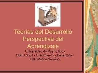 Teorías del Desarrollo
Perspectiva del
Aprendizaje
Universidad de Puerto Rico
EDFU 3001 - Crecimiento y Desarrollo I
Dra. Molina Serrano
 